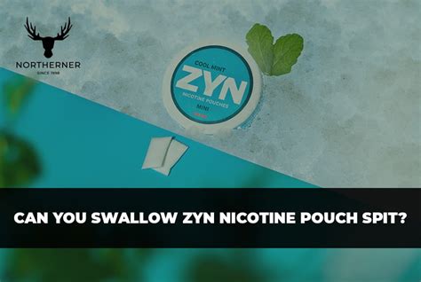 do you have to spit with zyn|accidentally swallowed a zyn pouch.